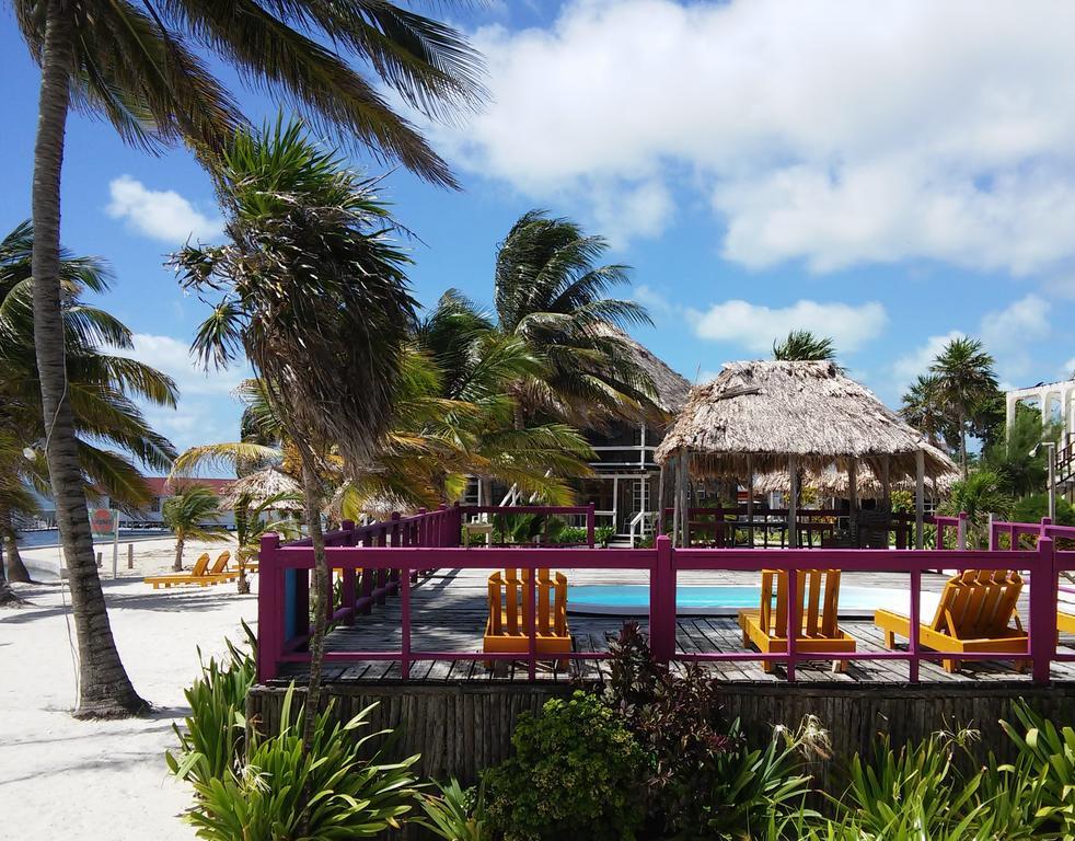 Exotic Caye Beach Resort San Pedro  Exterior foto