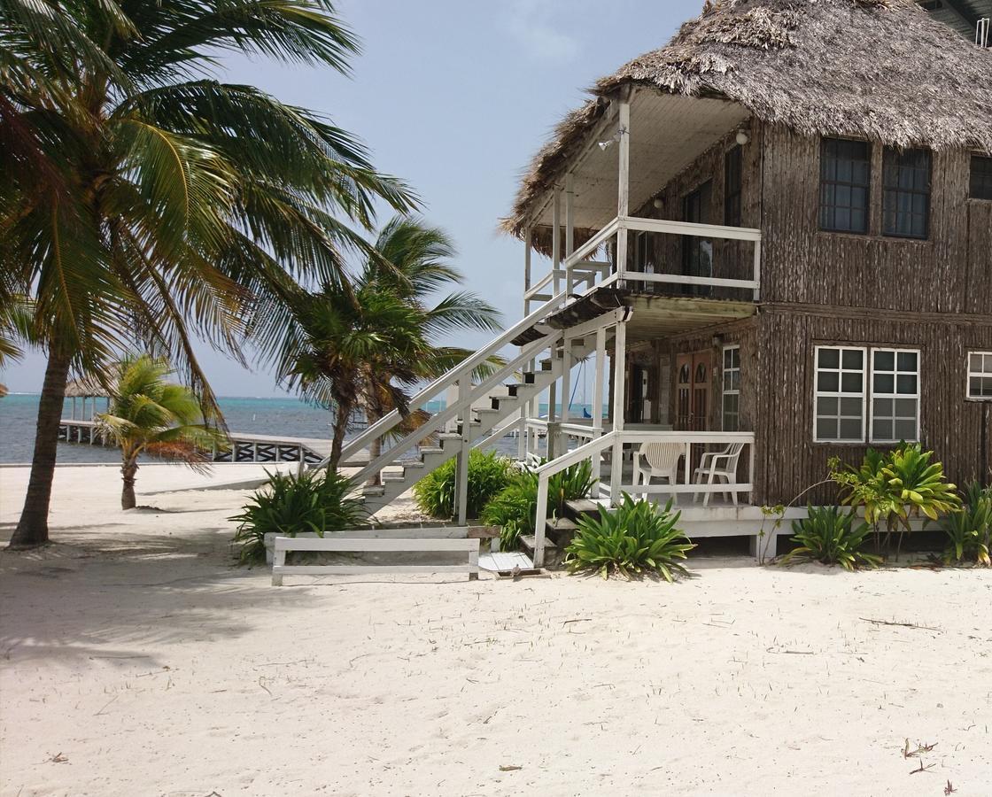 Exotic Caye Beach Resort San Pedro  Exterior foto