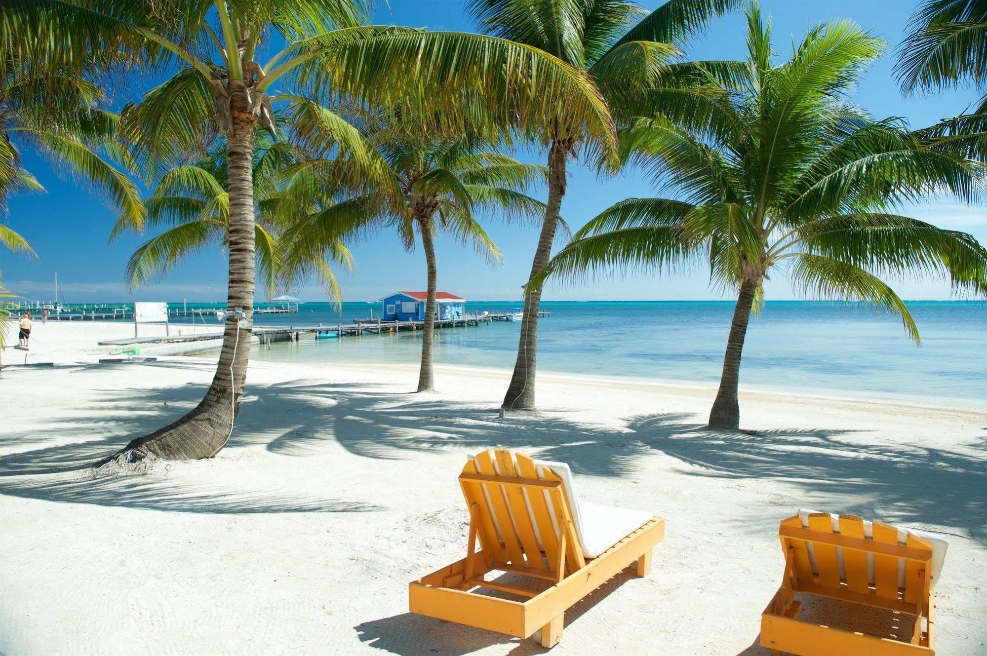 Exotic Caye Beach Resort San Pedro  Exterior foto